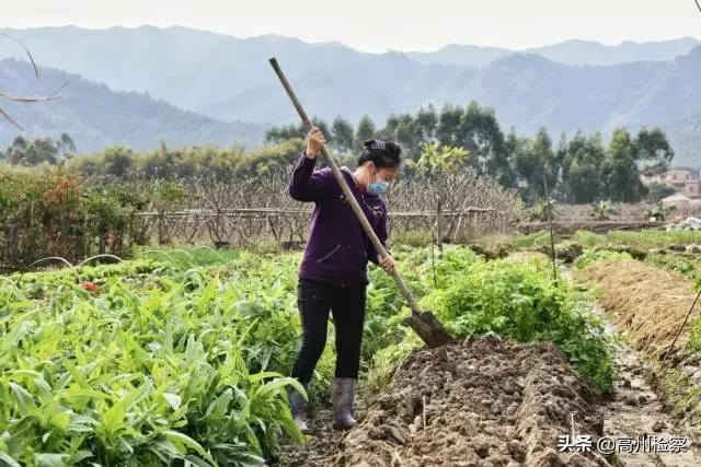 只要机器热起来，就有希望！