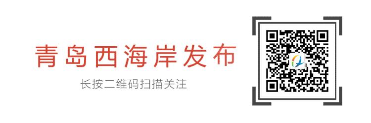 沙滩藤球锦标赛时间,世界藤球锦标赛