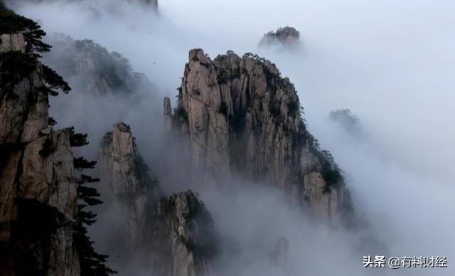 买股票能有礼物领？股市羊毛*党**的福音，又要到派发猪肉礼盒的时间
