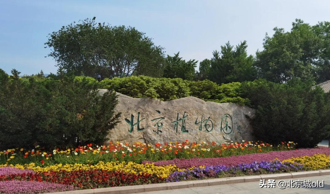 北京人的记忆北冰洋,陶然亭大雪山对北京孩子的意义