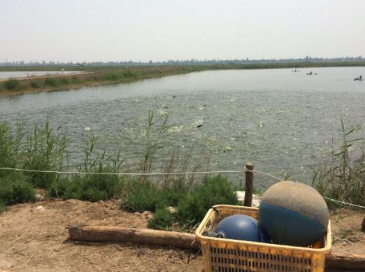 80后农民小伙养殖稀罕物,农村养殖什么稀奇古怪的东西赚钱