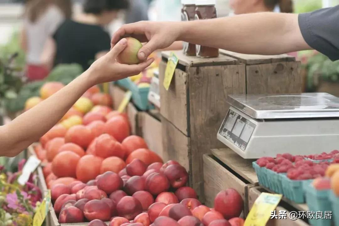 在荷兰一年的生活费,荷兰2019人均工资
