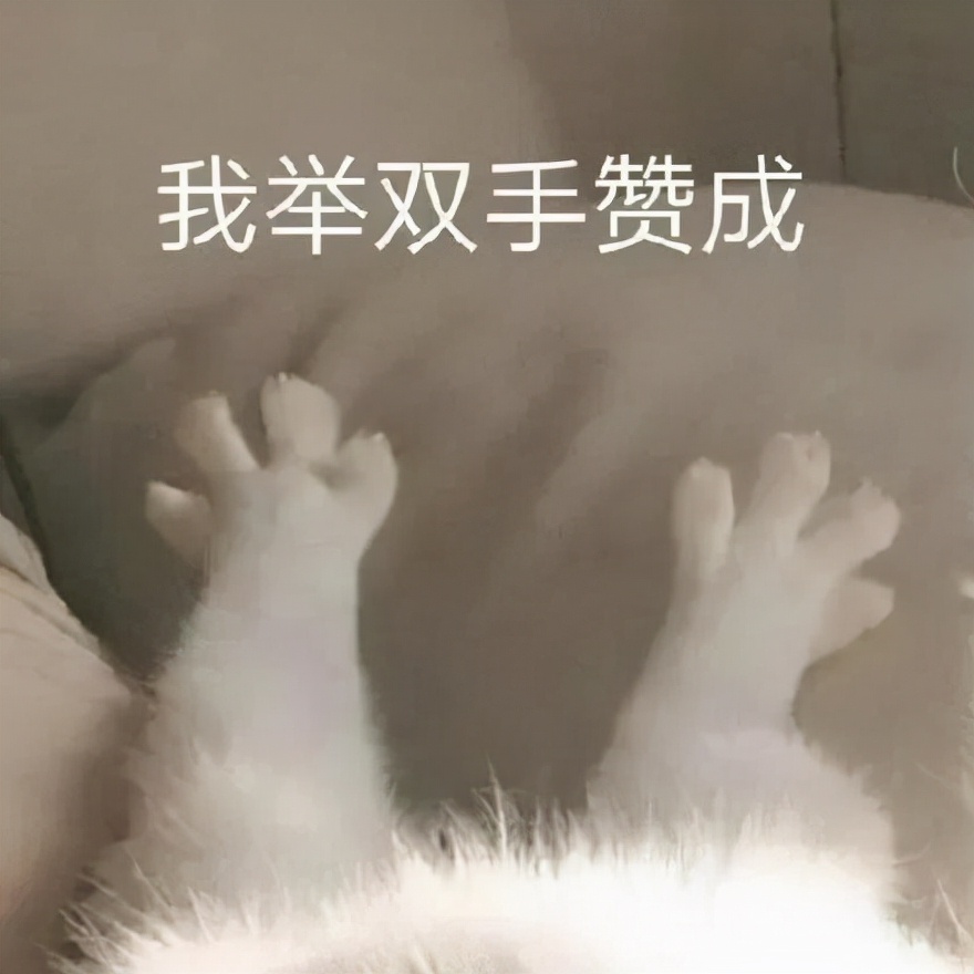 活了20多年，手机里没有一张自拍：你不是长得丑，而是太自卑