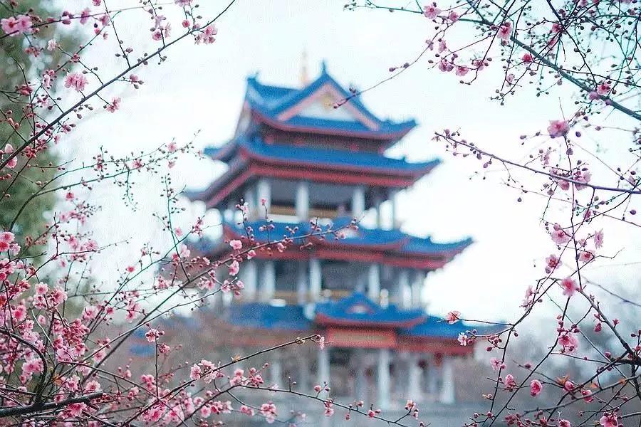 春分至万物生愿君莫负好时光图片,春分至莫负好春光是什么意思