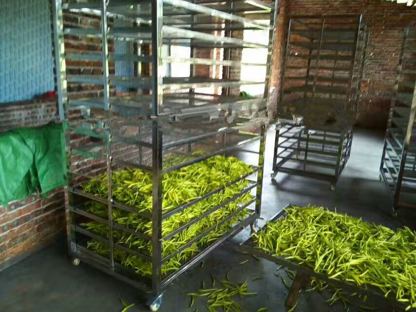 农村简易黄花菜烘干技术,黄花菜烘干的正确方法