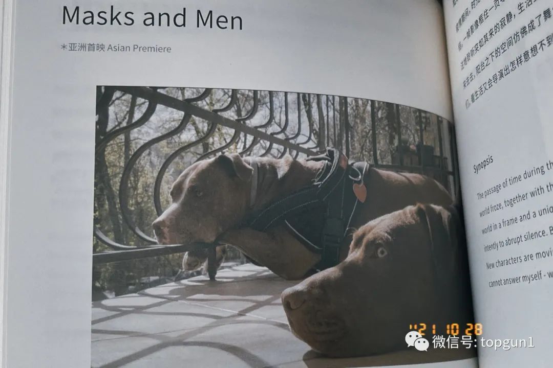 鍙版咕idf鎴樻枟鏈虹邯褰曠墖,idf瑗挎箹绾綍鐗囪妭