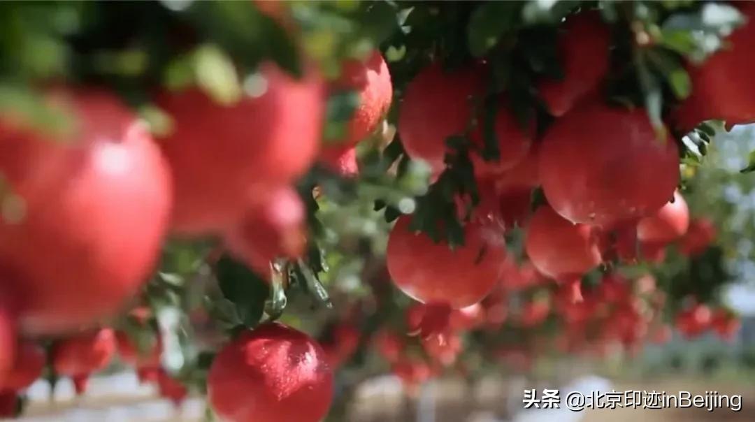 鐗涜鑳″悓鑿滄槸娓呯湡鐨勫悧,鍖椾含鐗涜闄勮繎鑳″悓閲岀殑娓呯湡椁愰