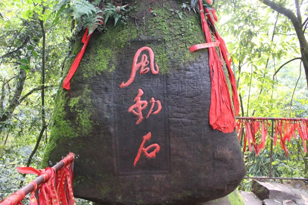 浦江朝阳湖值得游玩吗,浦江夜色旅游攻略