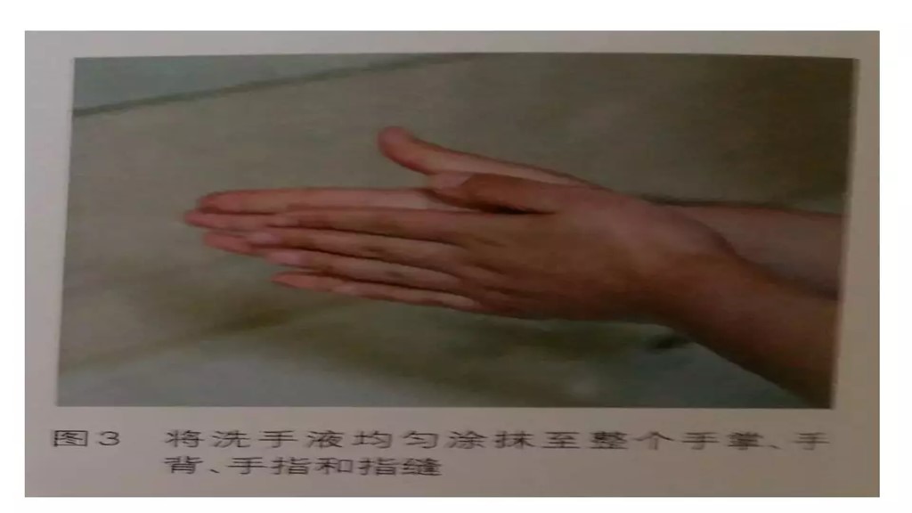 课件-环境微生物采样方法