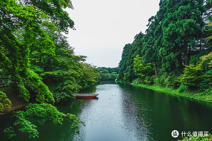 超级震撼的夏日风景,夏季日本旅游15天攻略