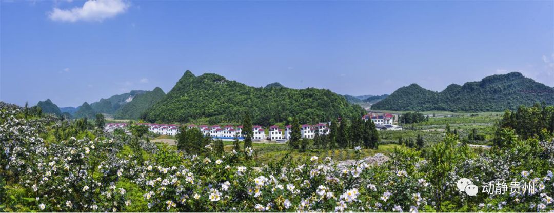 贵州台播出电视剧,中央台播的电视剧最近