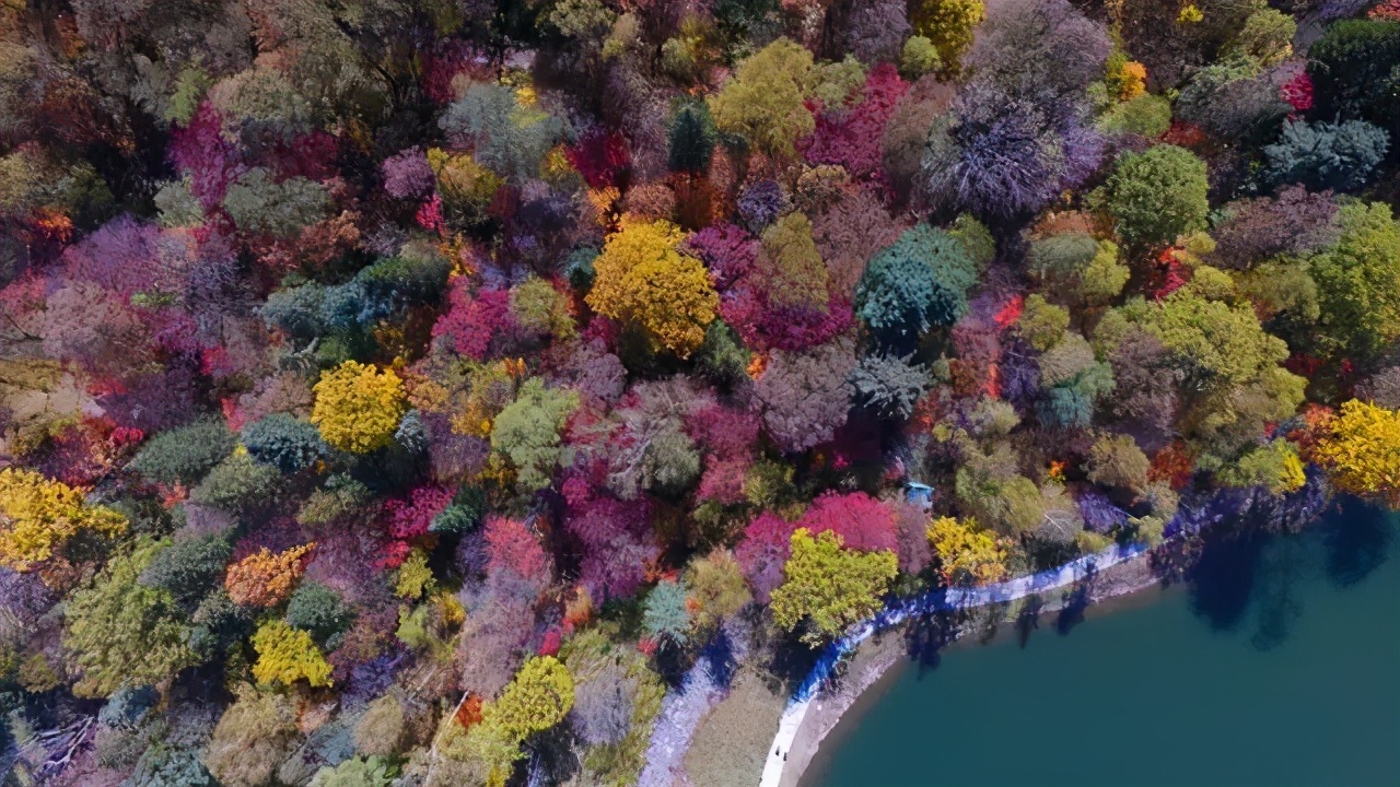 情深缘起重逢,情深缘起下一句