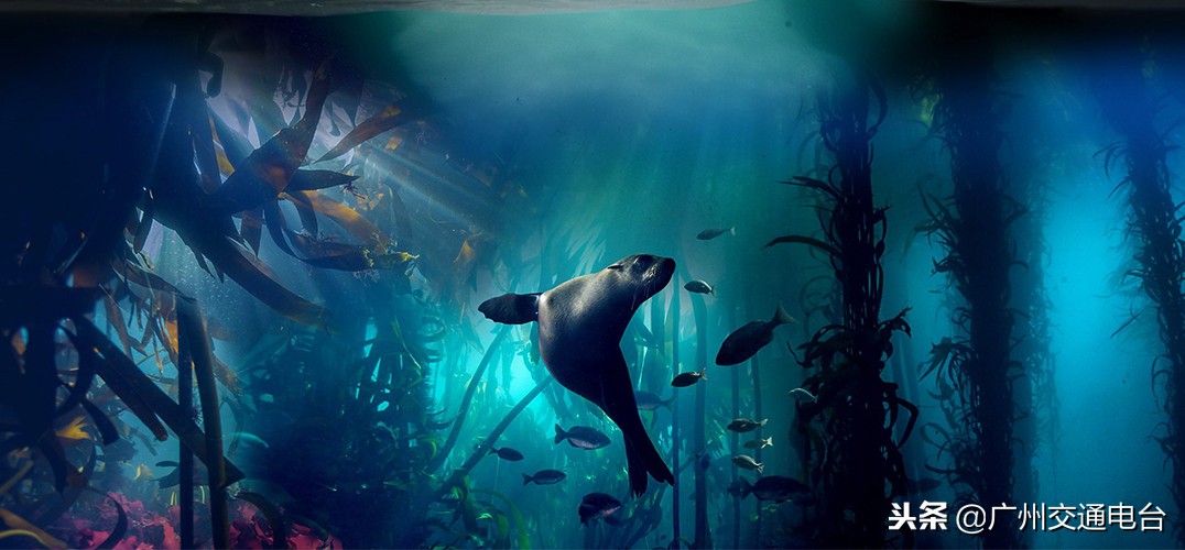 3d科幻巨型宇宙战舰高清图,3d巨幕原视频