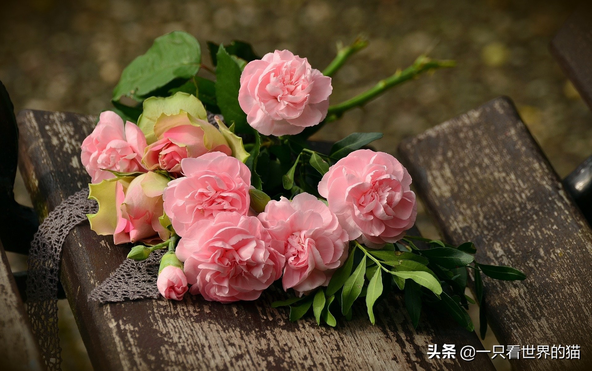 浪漫永远与金钱无关,金钱其实和浪漫无关的爱情格言