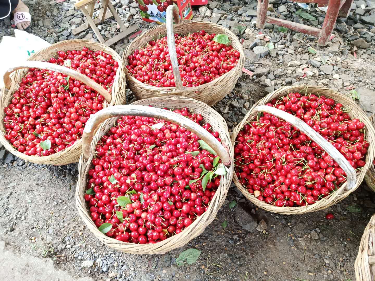 桃溪镇红色教育基地,内乡红色教育基地