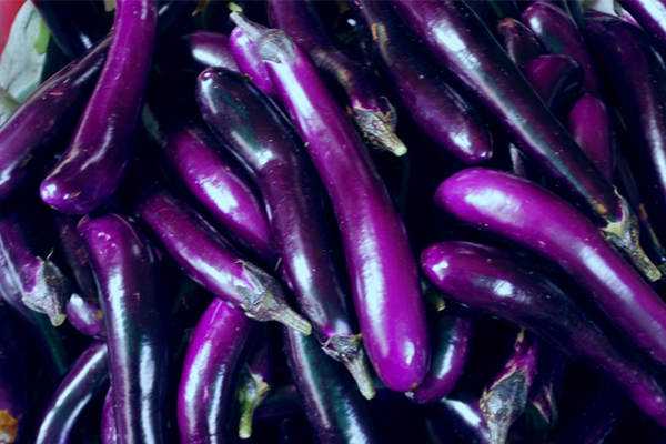 茄子应该怎么挑选 (教你怎么挑选茄子)