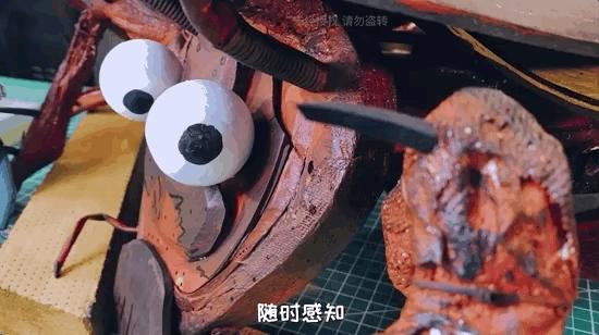 如何灭绝室内蟑螂虫卵,消除老房子蟑螂的方法