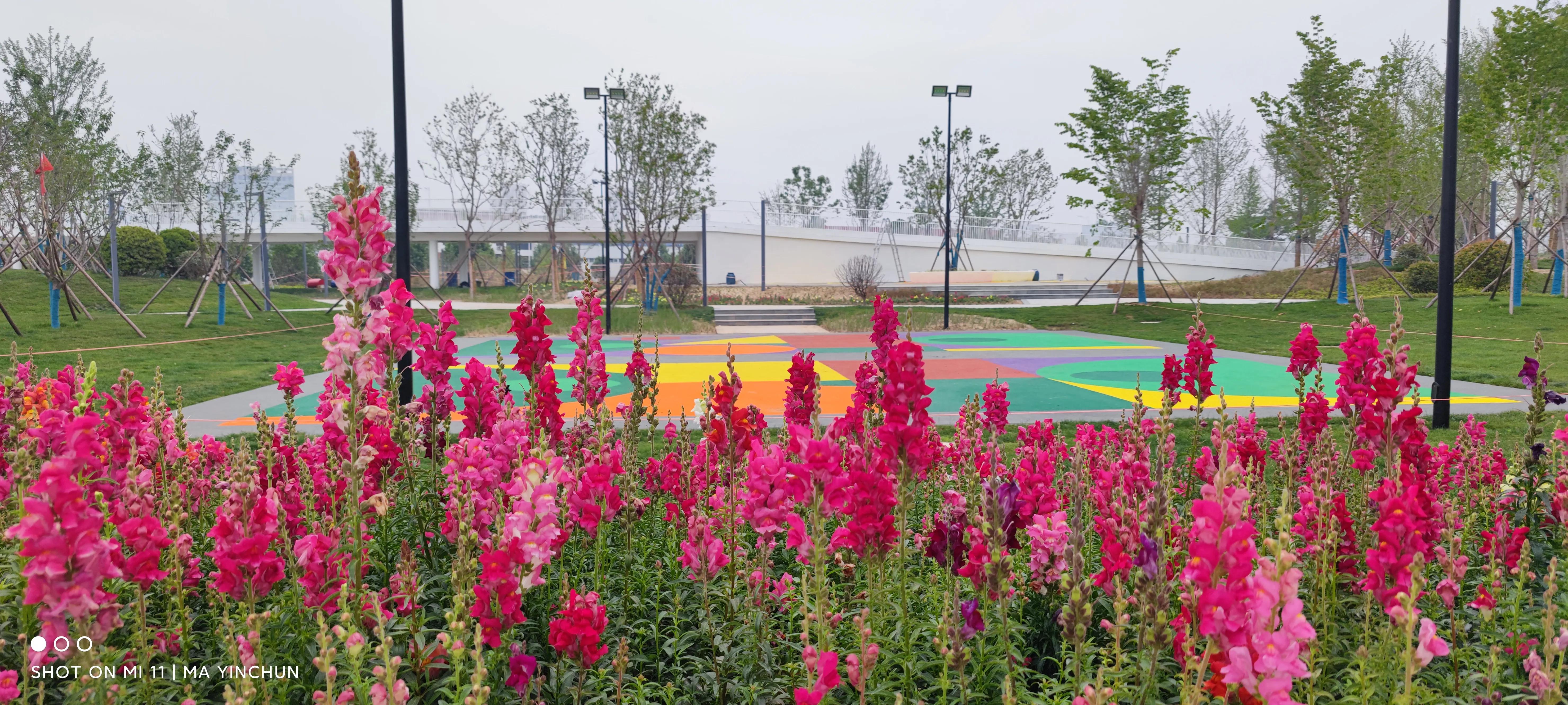 缁欏瀛愮幆淇濈邯蹇靛搧绀肩墿,缁欏皬鏈嬪弸鐨勪綋鑲插皬绀肩墿