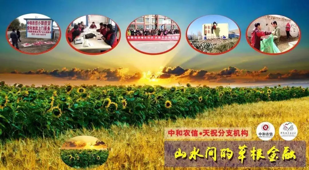红杉资本沈南鹏投资思维,红杉资本是沈南鹏说了算吗
