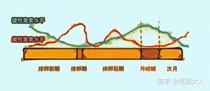长姨妈痘怎么办,长了姨妈痘大概什么时候来姨妈