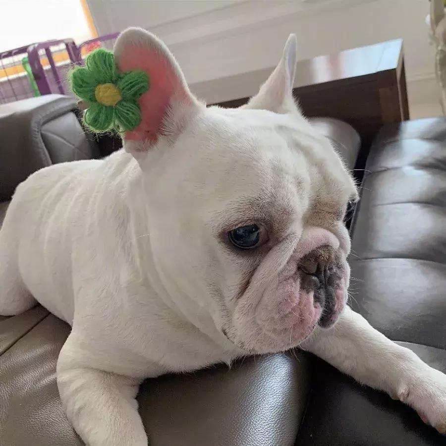 比欧阳娜娜好看的衣服,95后小花欧阳娜娜