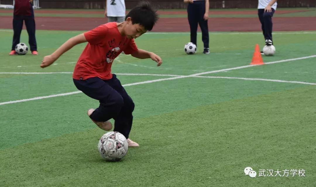 湖北新高考改革专业最新政策,武汉新高考改革方案