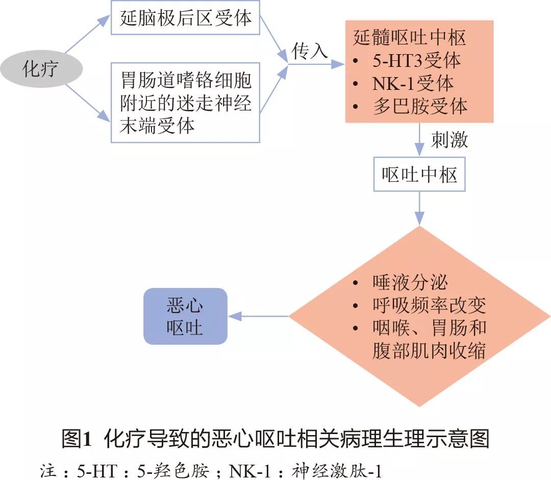 肿瘤患者恶心呕吐怎么办,肿瘤放疗后恶心呕吐怎么办