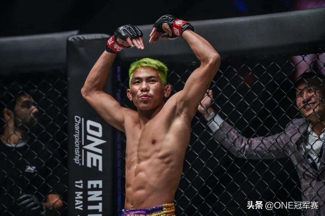 幼鲨彼得丹无惧对手,幼鲨vs彼得丹