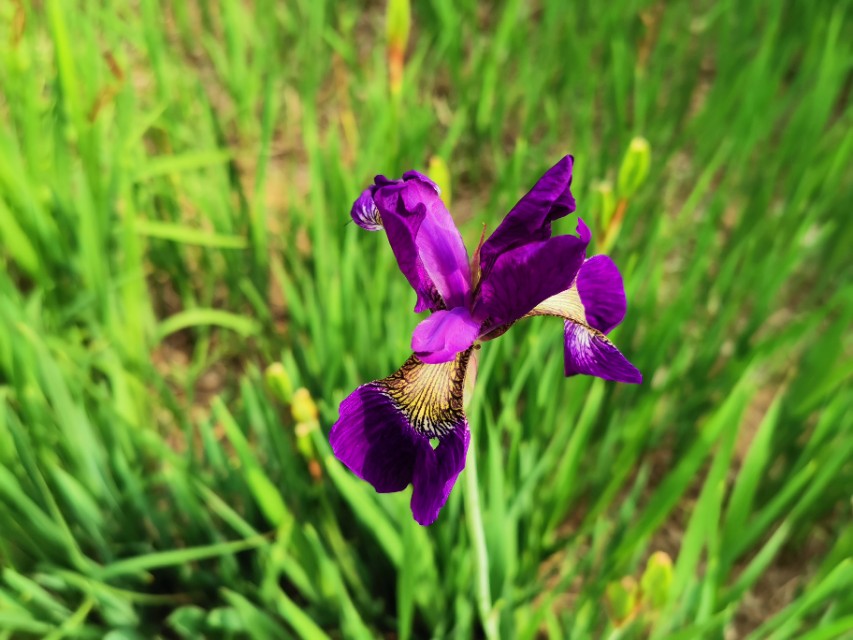 青岛高新区的公园让人们享受,青岛有个特别美的地方