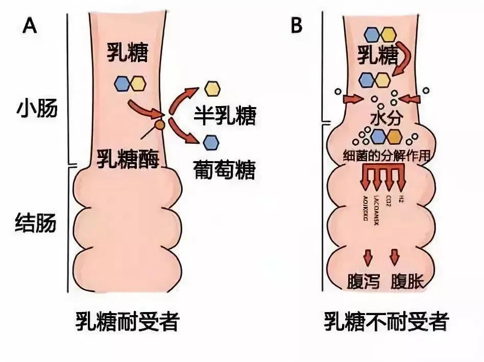 新生儿到底应不应该添加奶粉,刚给宝宝添加奶粉需要关注什么