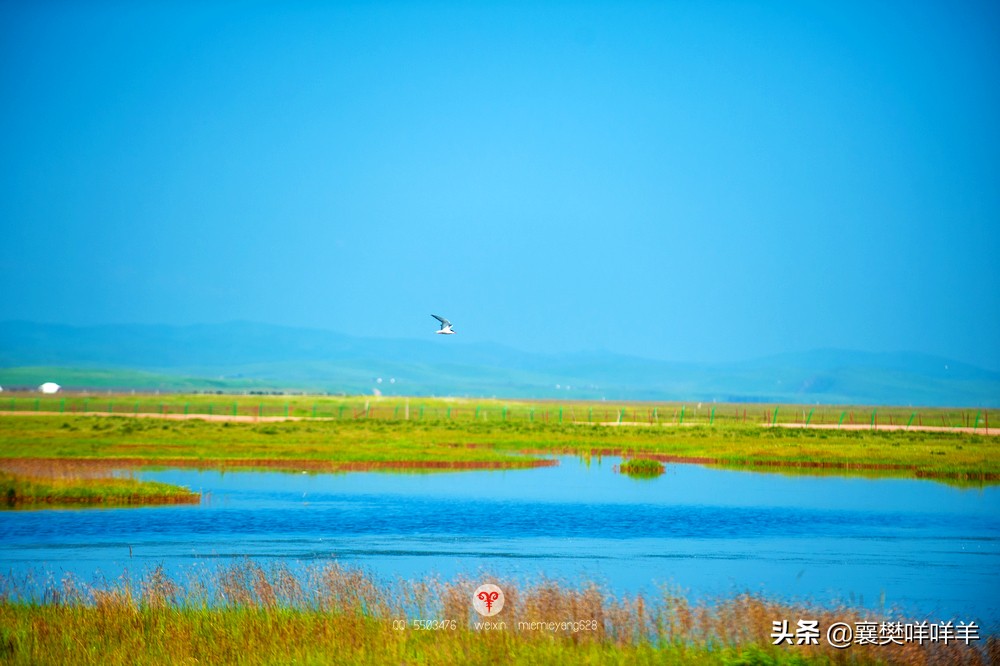 中国名马之乡，也是亚洲第一天然牧场