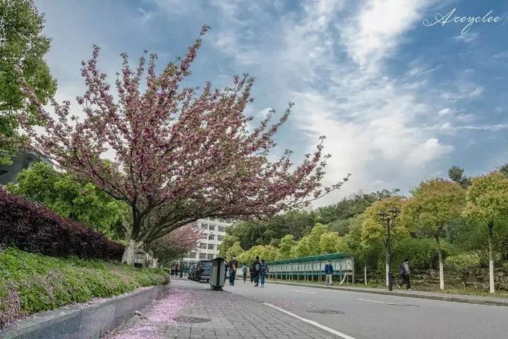 江苏省省长河海大学,江苏省河海大学