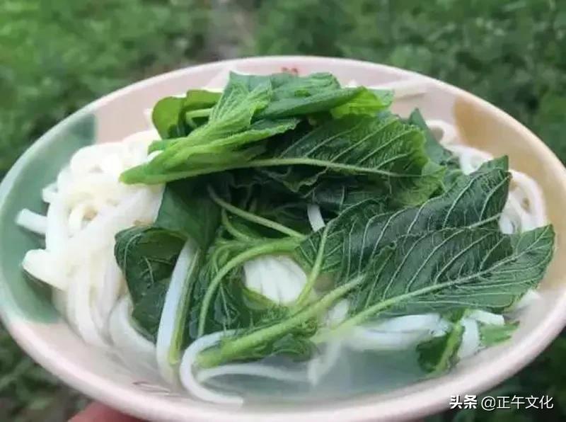 隐居终南山小龙女,一人隐居生活