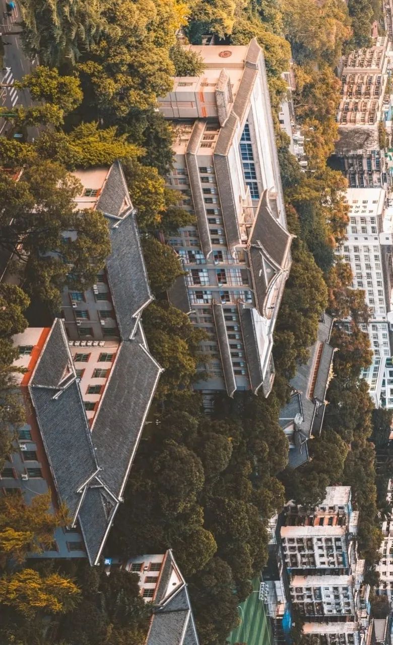 大片来袭震撼人心,成渝双城记全景图