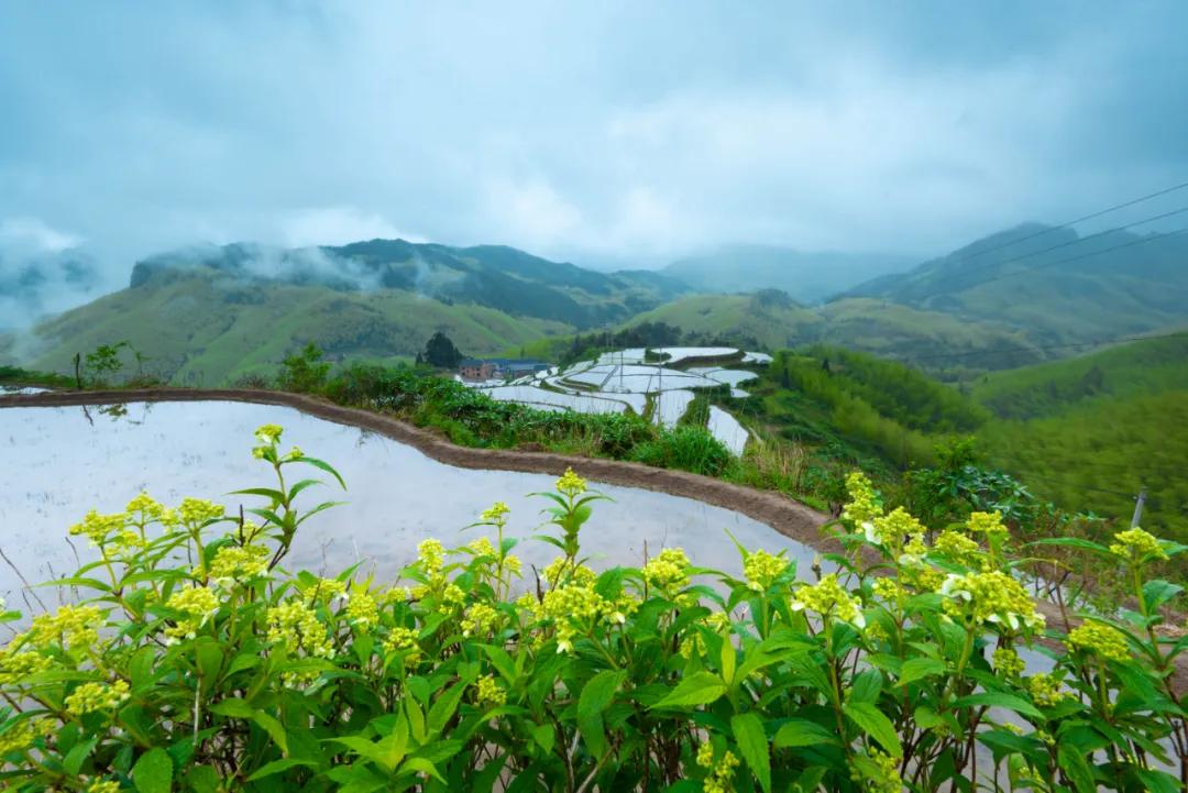 5万现金大奖！“天工之城杯”高坪乡村活化设计大赛报名倒计时~