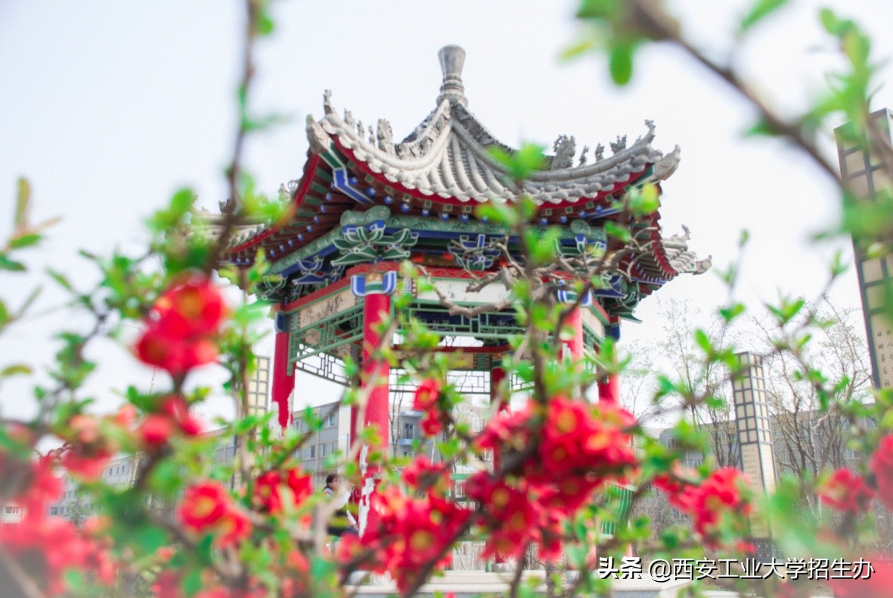 怎么给学生发新年祝福,春节如何花式送祝福