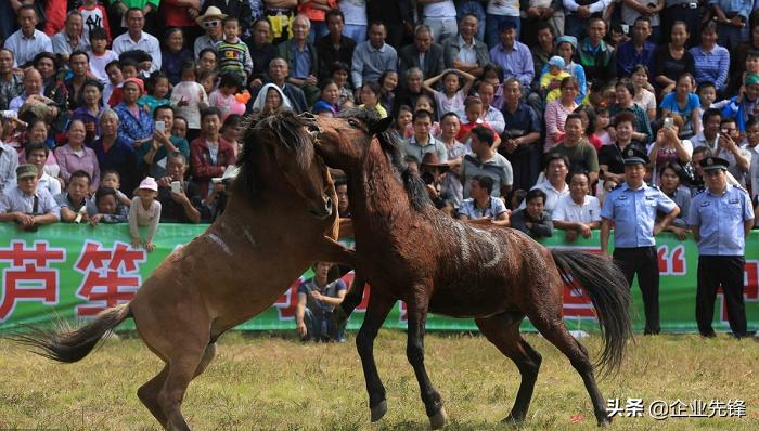 百万家财无人继承,家财万贯却无人继承