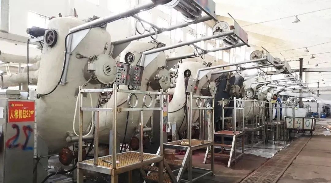 这些都是染色疵病，有图有真相