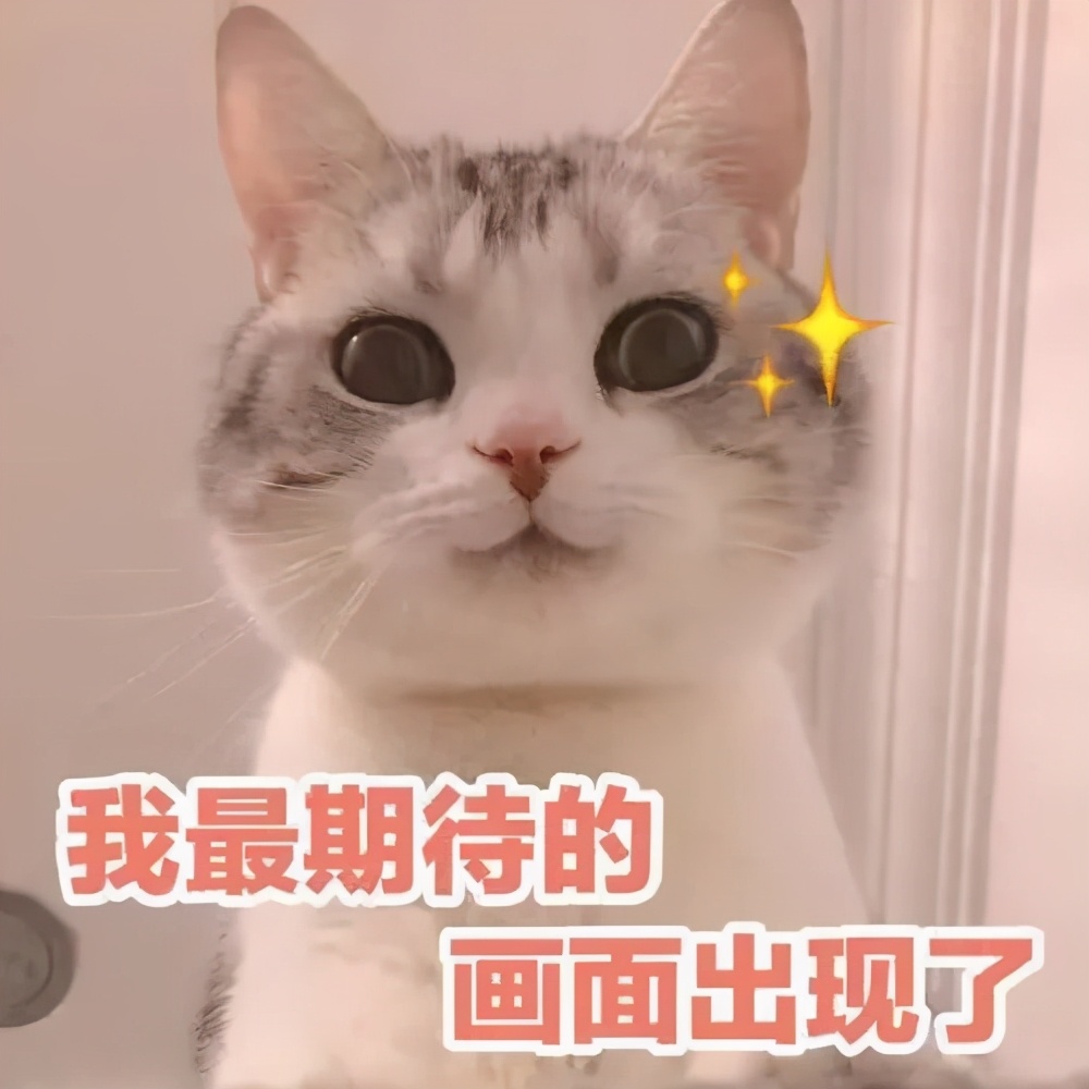 成都又一地标上新！网友：安排！