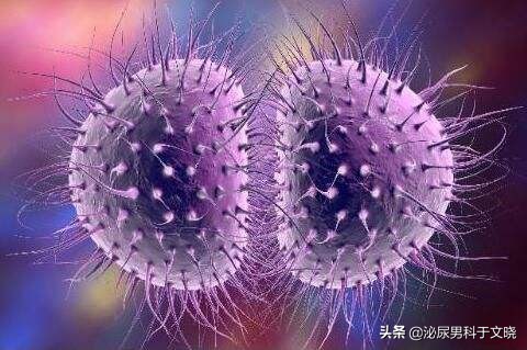 男子尿急流脓是怎么回事,男性尿痛流脓吃药好了反复