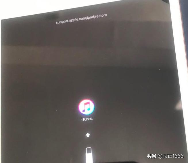 ipad5白苹果重启维修,ipadmini5重启白苹果