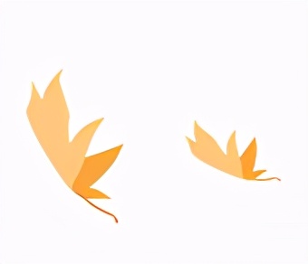 石狮第五实验小学校运会,2023年石狮第六实验小学体育节