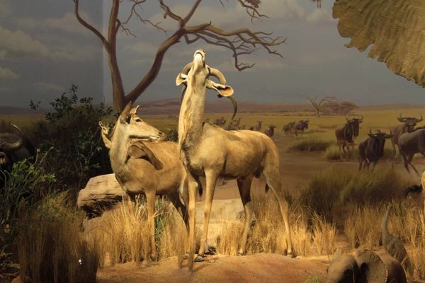 济南遛娃室内去哪里玩,济南值得玩的室内场馆