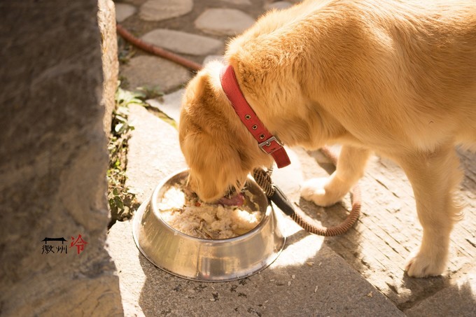 「徽州冷」宏村秋深晴少，友谊地久天