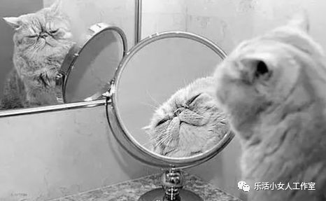 单眼皮眼妆画法教程肿眼泡,单眼皮肿眼泡春日桃花妆