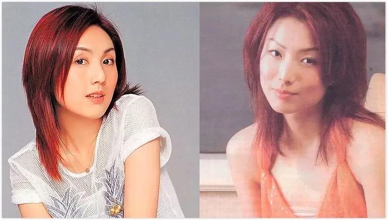 香港人对郑秀文的评价,郑秀文香港最后的天后