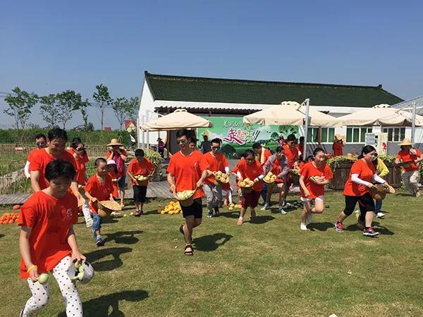 长三角城市群最佳旅游线路,长三角示范区旅游详细攻略