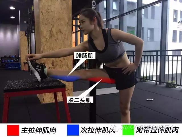 教练帮学员做拉伸动作教学,女教练教拉伸