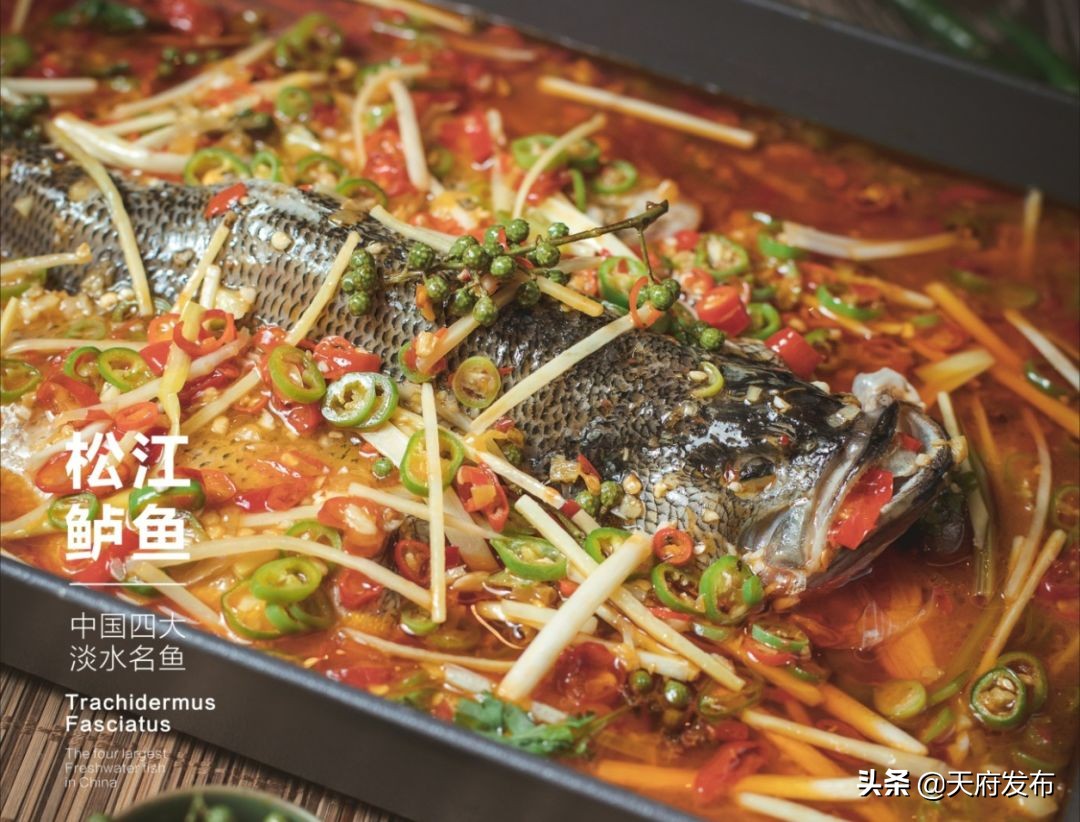 世警会游玩视频,世警会时间安排表