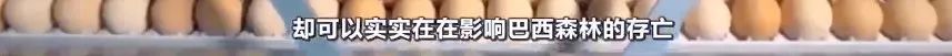 这场“内鬼”风波，到底打了谁的脸？